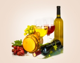 上海進(jìn)口報關(guān)