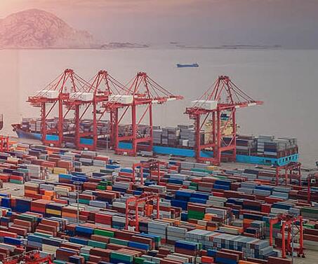 進口報關代理公司的哪些特點備受重視