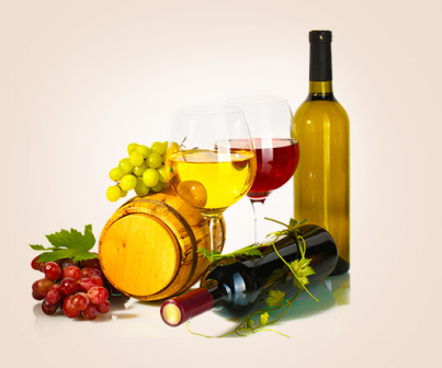 進口海運代理機構有哪些特色